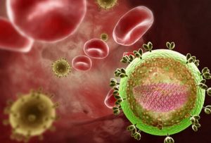 virus