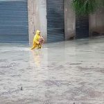 Alluvione Licata, città in ginocchio. Disperato appello su facebook: “venite a salvarci” [FOTO e VIDEO]