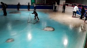 PISTA 1