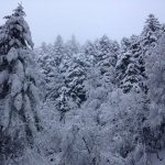 Freddo e neve a bassa quota: spettacolare risveglio invernale al Centro Italia [GALLERY e DATI]