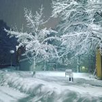 L’inverno avanza sull’Europa, neve record in Svezia: oltre 30cm a Stoccolma, non era mai successo a Novembre [GALLERY]