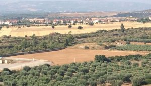 bonifica arpacal (1)