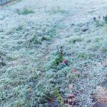 Super gelo stamattina in tutt’Italia: temperature polari da Nord a Sud, risveglio nel freezer [FOTO e DATI]