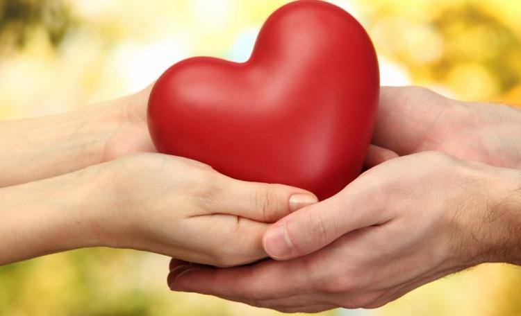 solidarietà