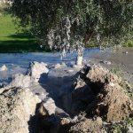 Terremoto, le impressionanti FOTO del vulcano di fango a Santa Vittoria in Matenano [GALLERY]