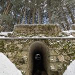 Gambarie, Montalto e la Diga del Menta sotto la neve: spettacolare viaggio polare in Aspromonte [GALLERY]