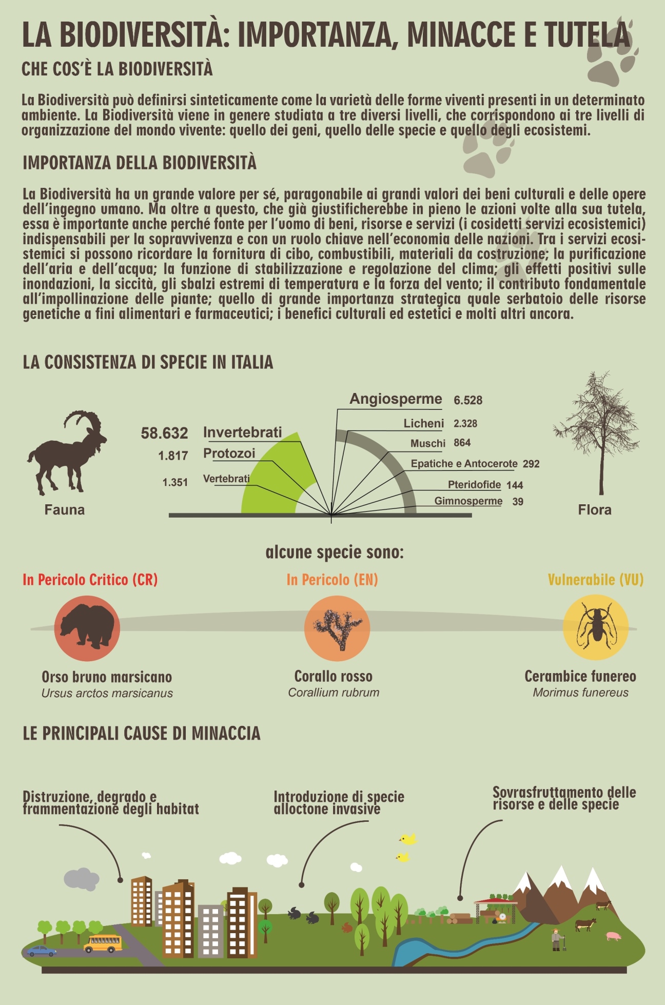 Clima