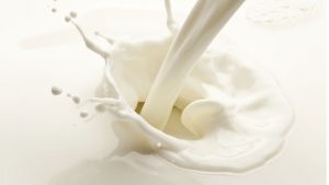 latte di capra