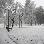 Neve, “Bomba Bianca” in Piemonte: Alessandria e Asti le più colpite, che spettacolo [GALLERY]