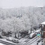 Neve, “Bomba Bianca” in Piemonte: Alessandria e Asti le più colpite, che spettacolo [GALLERY]