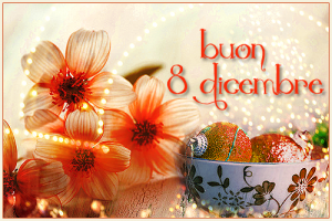 Buona Festa dell'Immacolata 8 dicembre