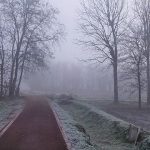 Gelido Anticiclone, non solo Nebbia in pianura Padana: super freddo e lo straordinario spettacolo della Galaverna [GALLERY]