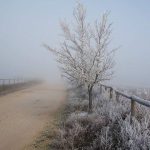Gelido Anticiclone, non solo Nebbia in pianura Padana: super freddo e lo straordinario spettacolo della Galaverna [GALLERY]