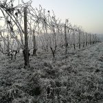 Meteo Italia, la situazione: freddo intenso da Nord a Sud, temperature tipicamente invernali [FOTO e DATI]