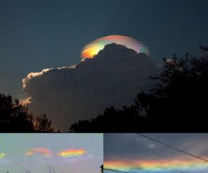 luci terremoto (4)