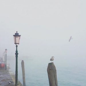 nebbia (14)