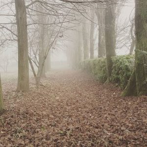 nebbia (23)