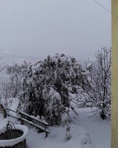 treiso neve