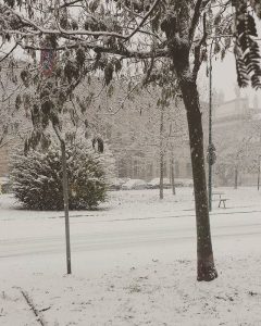 vercelli neve