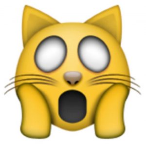 weary-cat-face-kNQ-U21680508116LRX-300x200@Corriere-Web-Sezioni_MGZOOM