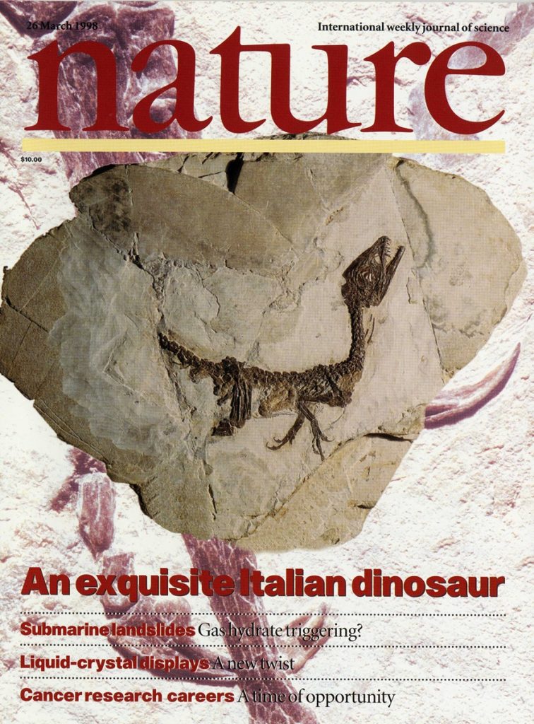 1 – Scipionyx © Macmillan Magazines Ltd.