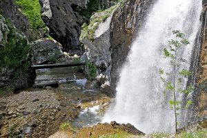 CASCATA VITELLO D'ORO 1