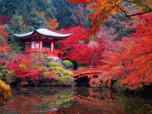 KYOTO 4