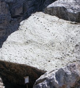 Mietto1 Il masso ai piedi del Monte Pelmetto (Dolomiti cadorine) con impresse impronte e piste di piccoli dinosauri del Triassico superiore