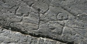 RUPE MAGNA 1