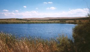 lago soprano