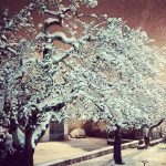 Maltempo, Italia nella morsa di gelo e neve: serata glaciale, nevica da Torino a Cosenza, dall’Emilia a Ischia e Capri [FOTO LIVE]