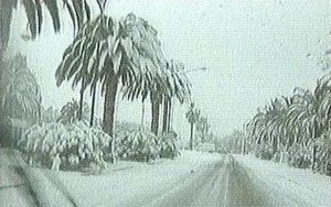 neve 31 gennaio 1999 sud italia