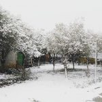 Il “Burian” in Calabria, neve senza precedenti nel reggino jonico: Bovalino sommersa! In Sila -17°C [FOTO e DATI]