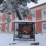 A Santeramo in Colle e Cassano delle Murge la nevicata del secolo: “città sepolta, accumuli di due metri che neanche nel ’56…” [GALLERY]