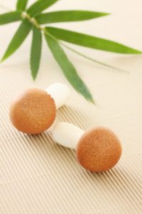GFV_Agaricus_1600x2400_4575_kl