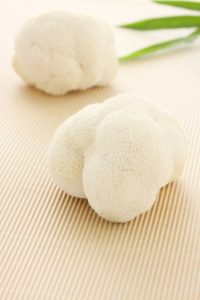 GFV_Hericium_4938_1200x1800_kl