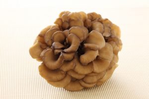 GFV_Maitake_4880_1800x1200_kl