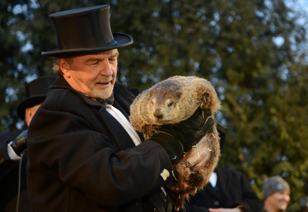 Usa, oggi è il Giorno della marmotta