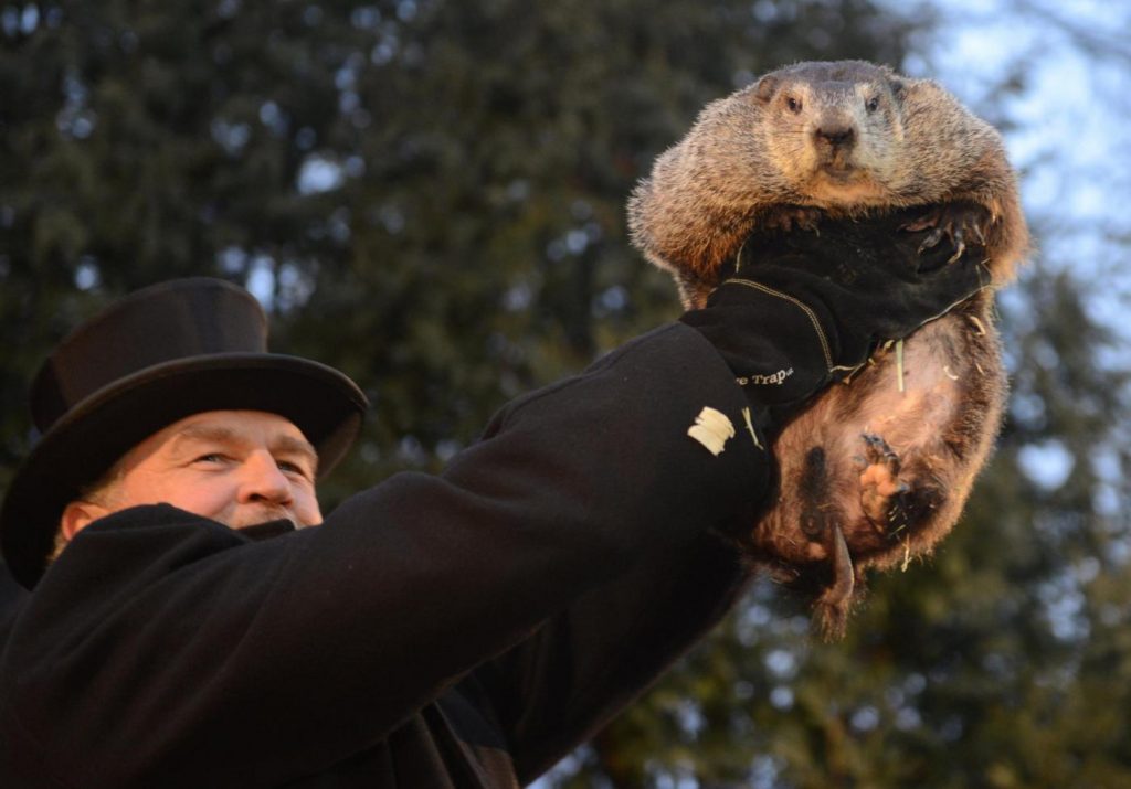 Usa, oggi è il Giorno della marmotta