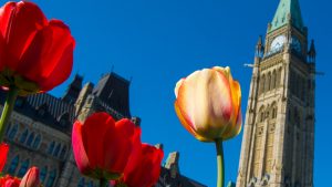 ottawa 2017