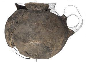 3000 anni fa in Friuli Venezia Giulia si beveva già il vino2