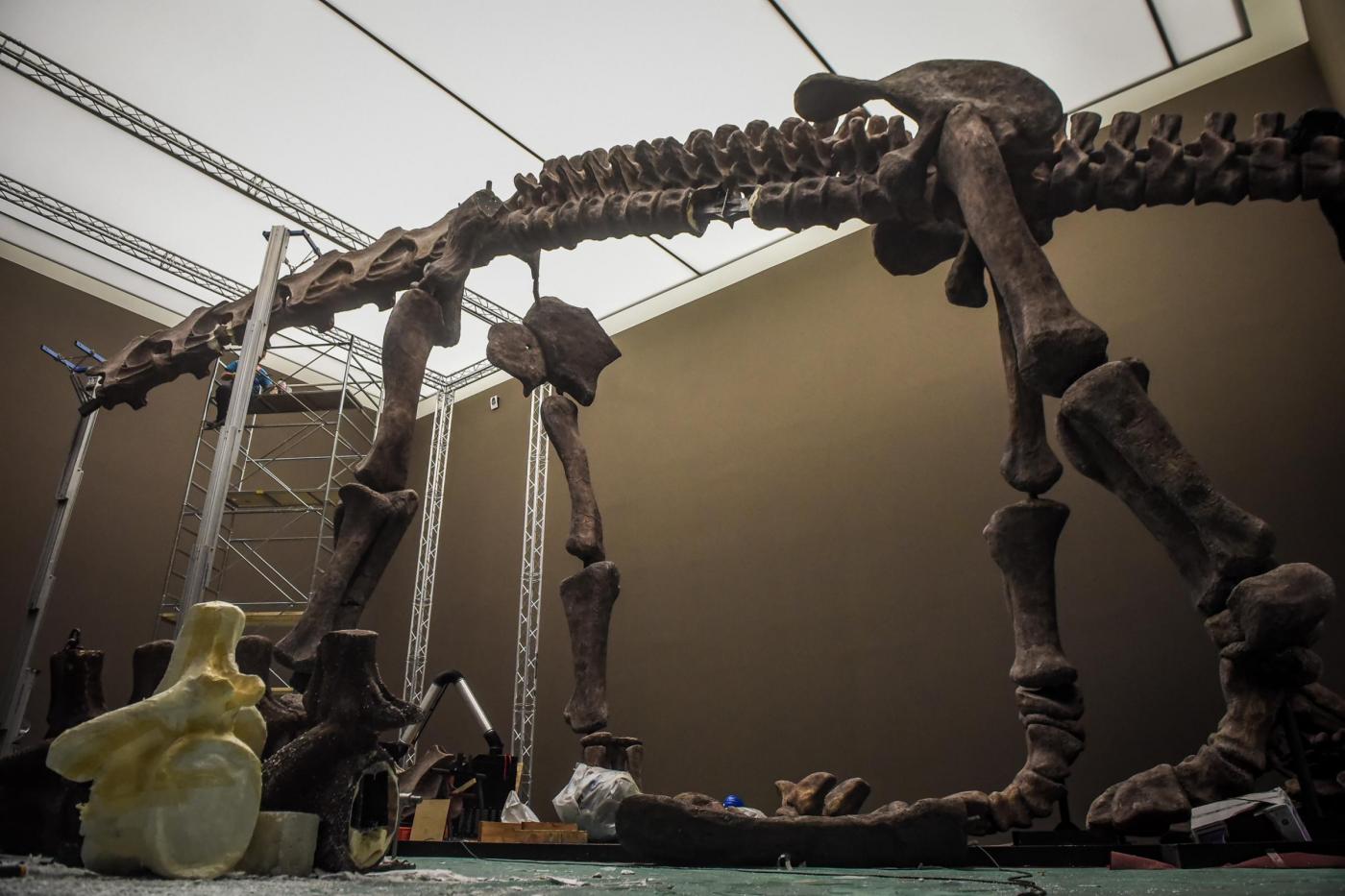 mostra dei dinosauri a milano