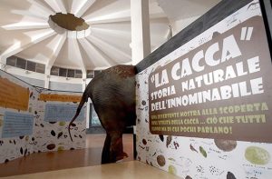 cacca bioparco