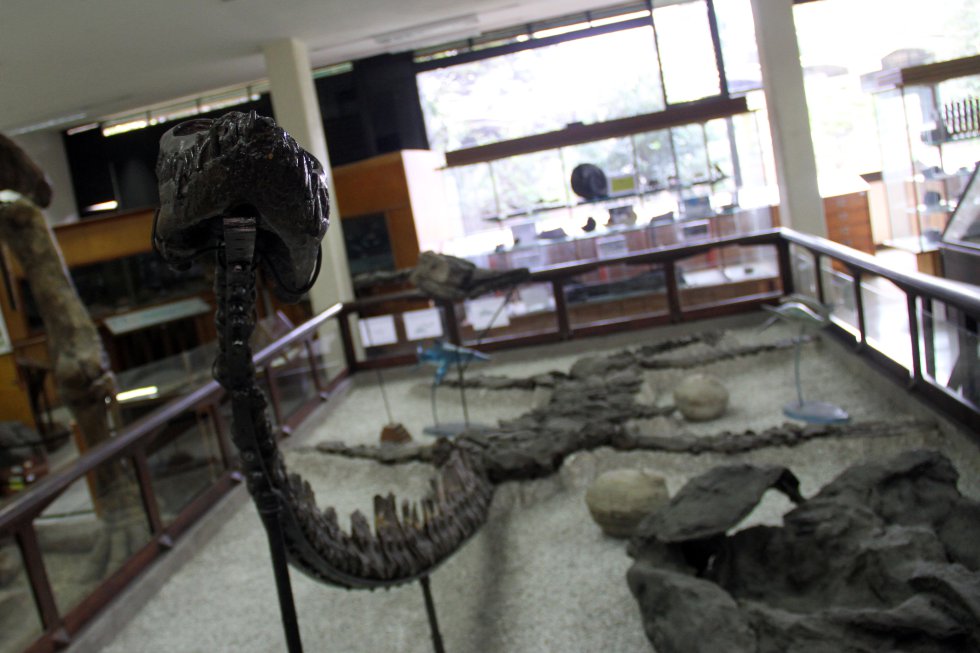 museo bogotà