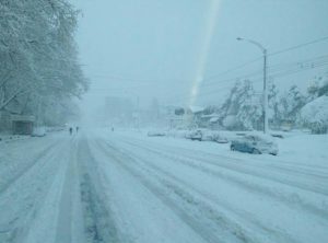 18057676_1720038554689613_240414747761480900_n