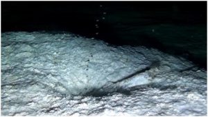 Foto 2. Emissioni di gas (Temperatura misurata T= 50°C)