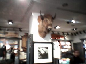 IMG00297