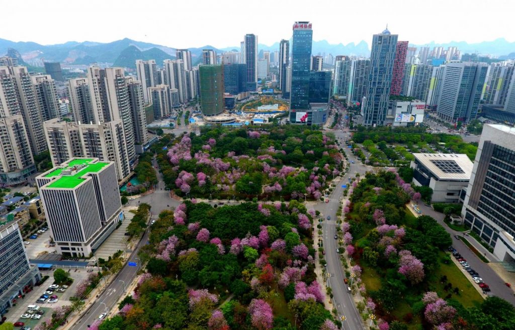 Liuzhou, la città devota al verde e ai fiori