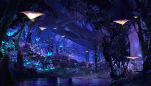 PANDORA 1