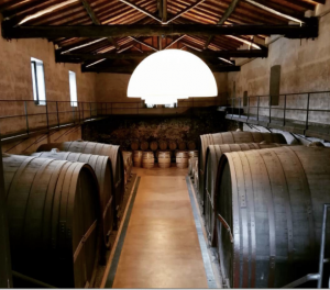 barone di villagrande cantina